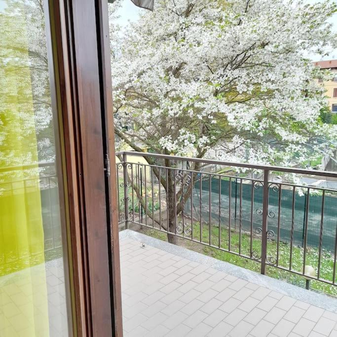 Vila Il Vecchio Kiwi - House With Private Garden Oleggio Castello Exteriér fotografie