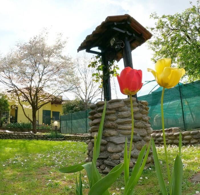 Vila Il Vecchio Kiwi - House With Private Garden Oleggio Castello Exteriér fotografie