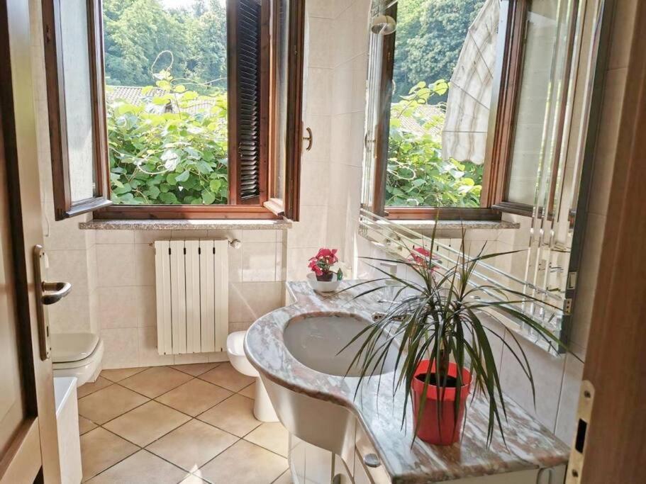 Vila Il Vecchio Kiwi - House With Private Garden Oleggio Castello Exteriér fotografie