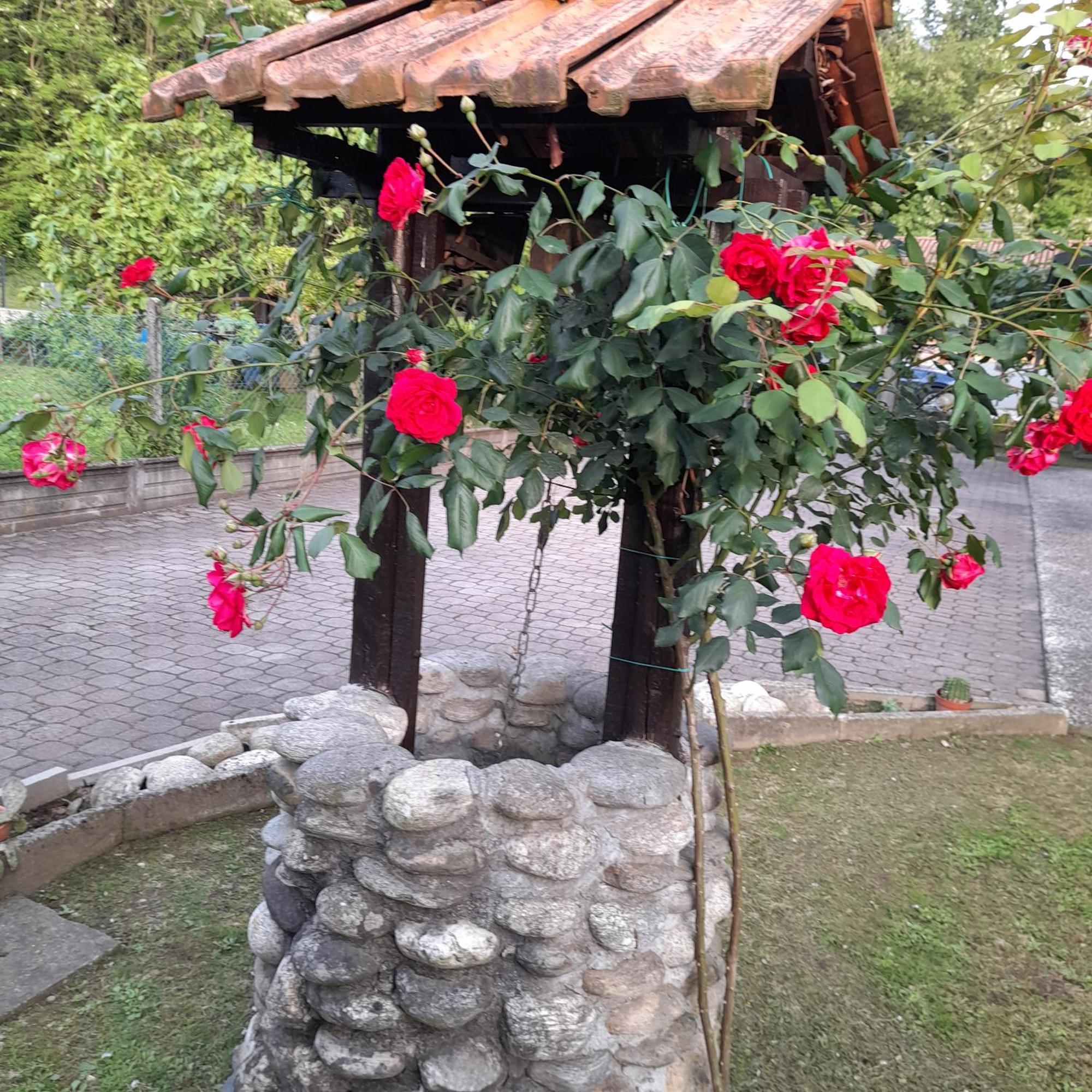 Vila Il Vecchio Kiwi - House With Private Garden Oleggio Castello Exteriér fotografie